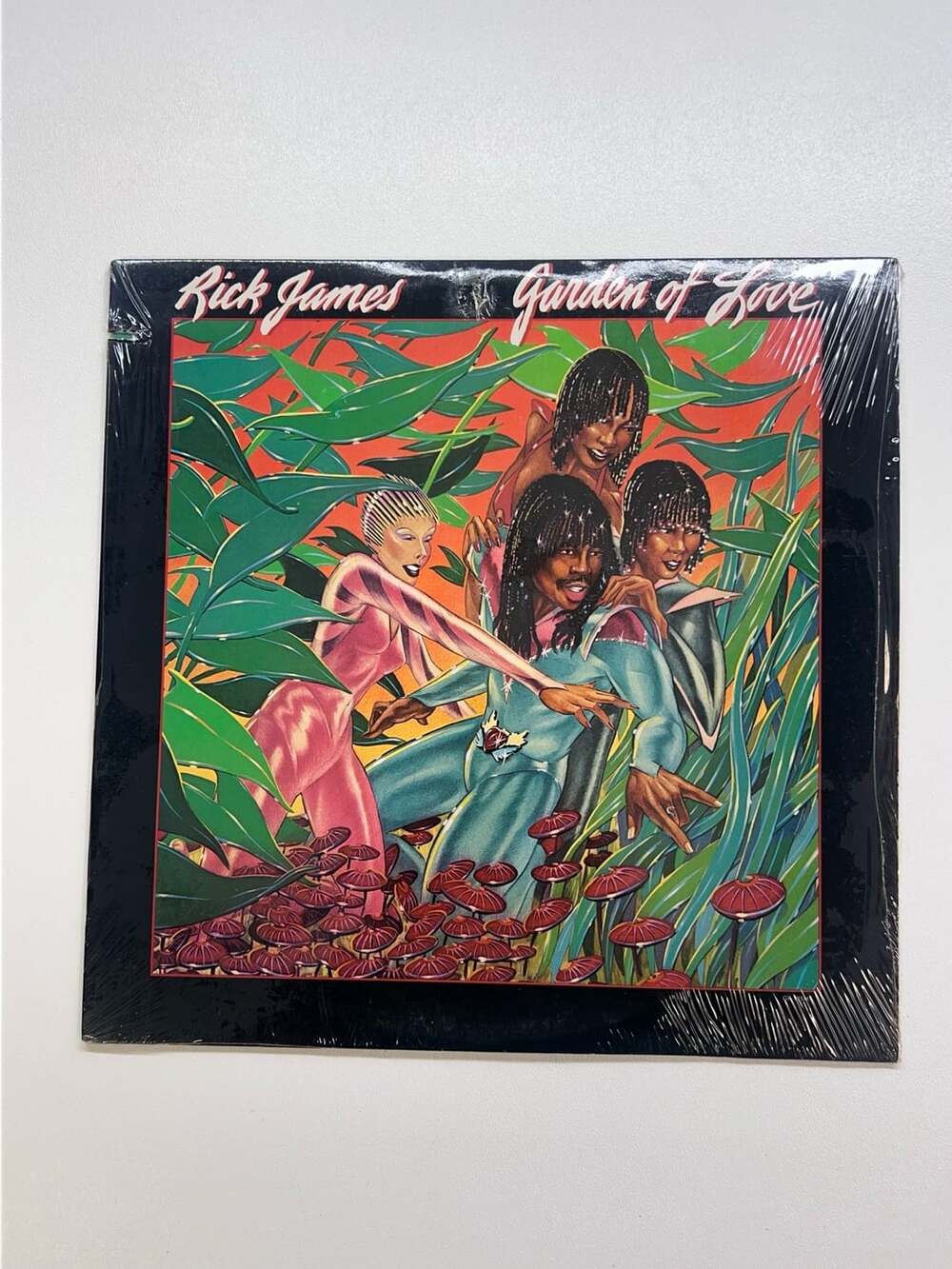 Rick James Garden Of Love Vinyl LP Gordy G8-995M1 Vintage 1980 Funk Soul Record